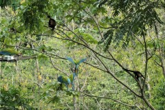 Manzanillo, Costa Rica