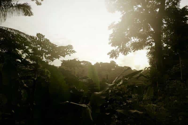 Dusk - Manzanillo, Costa Rica