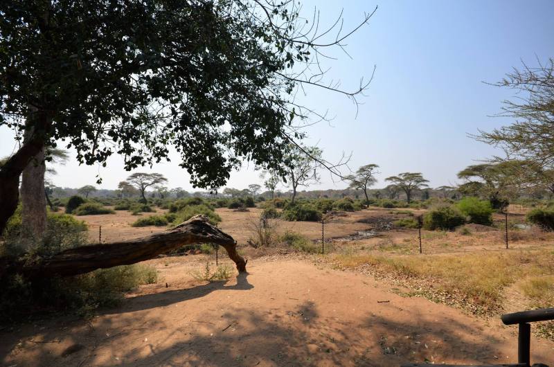 Elephant Valley Lodge