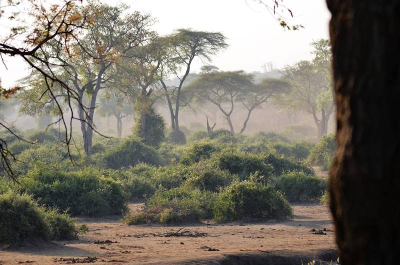 Elephant Valley Lodge