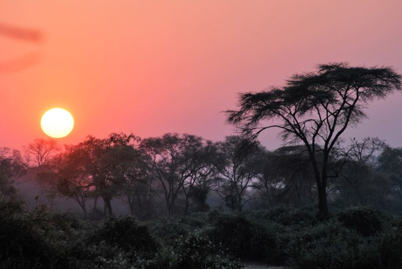 Botswana Sunset