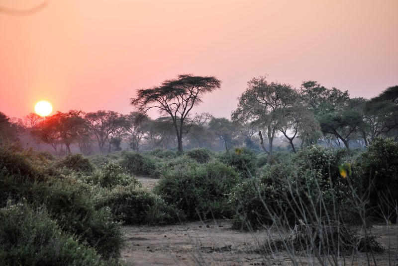Botswana Sunset