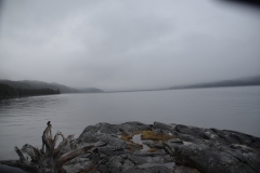 DSC_8923-2