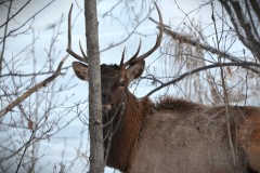 DSC_9582-2