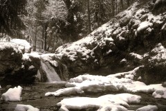 IMG_2276-topaz