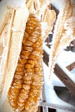 IMG_6335-topaz
