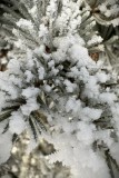IMG_6358-topaz