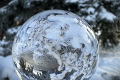 IMG_6380-topaz