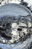 IMG_6384-topaz