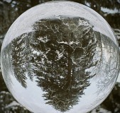 IMG_6386-topaz