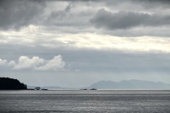 IMG_8774-topaz