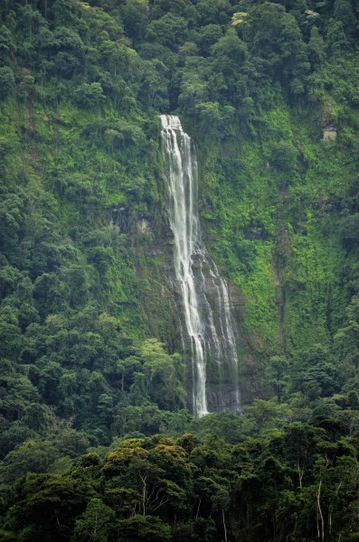 Pacuarito, Costa Rica
