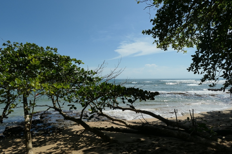 Playa Chiquita