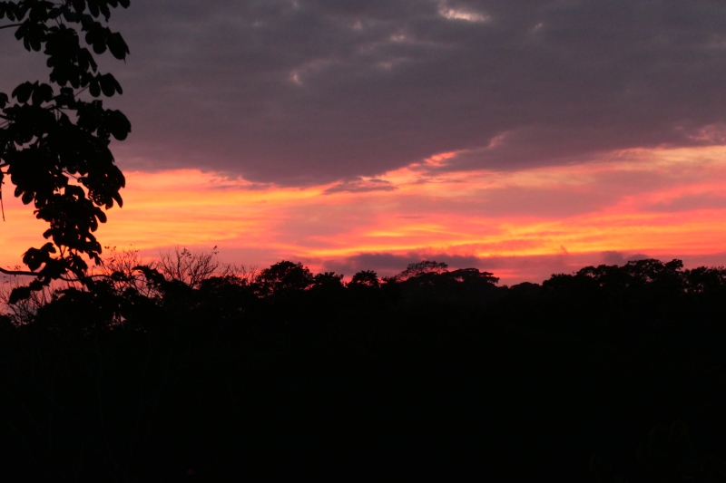 Pacific Sunset