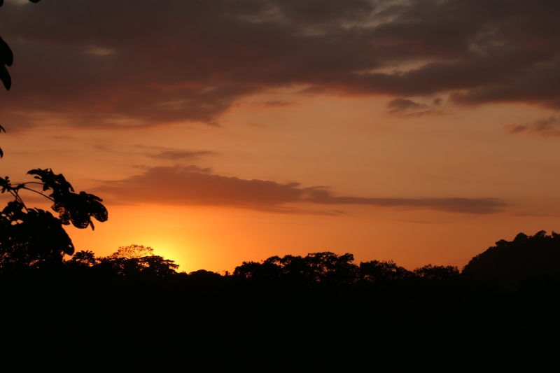 Pacific Sunset