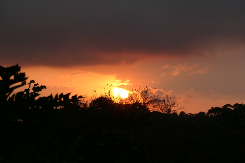 Pacific Sunset