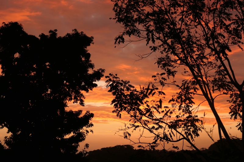 Pacific Sunset