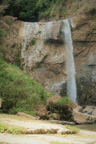 P1001531