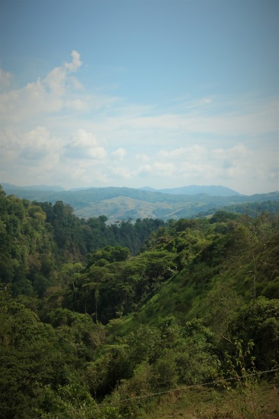 P1001631