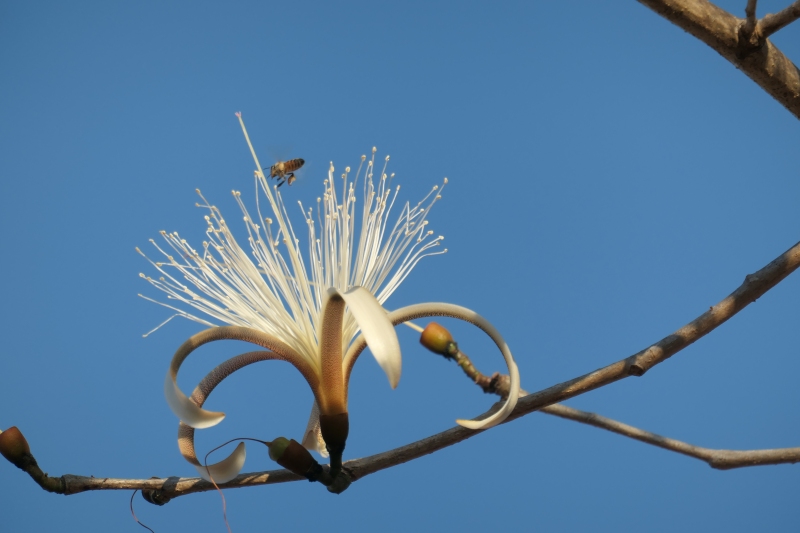 P1002302