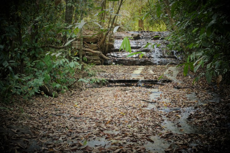 Waterfall on Treehaven