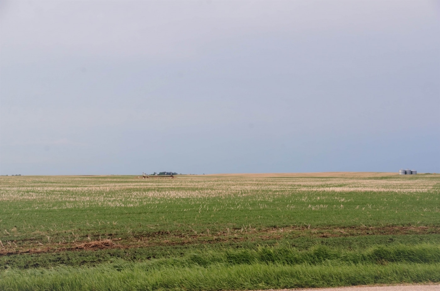 Prairies - Alberta, Canada