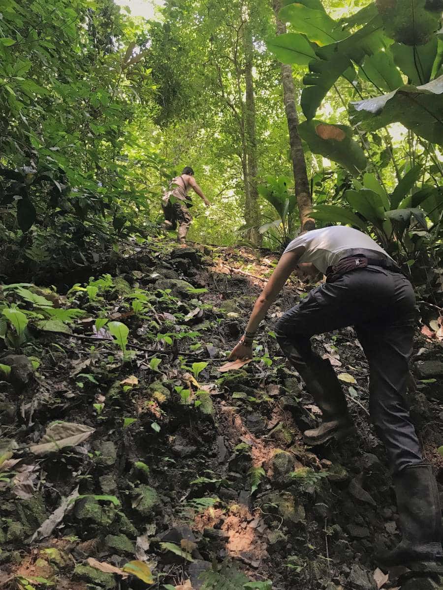Mario and Beth on the incline during our jungle hike - Photo Courtesy of Lydia Pink