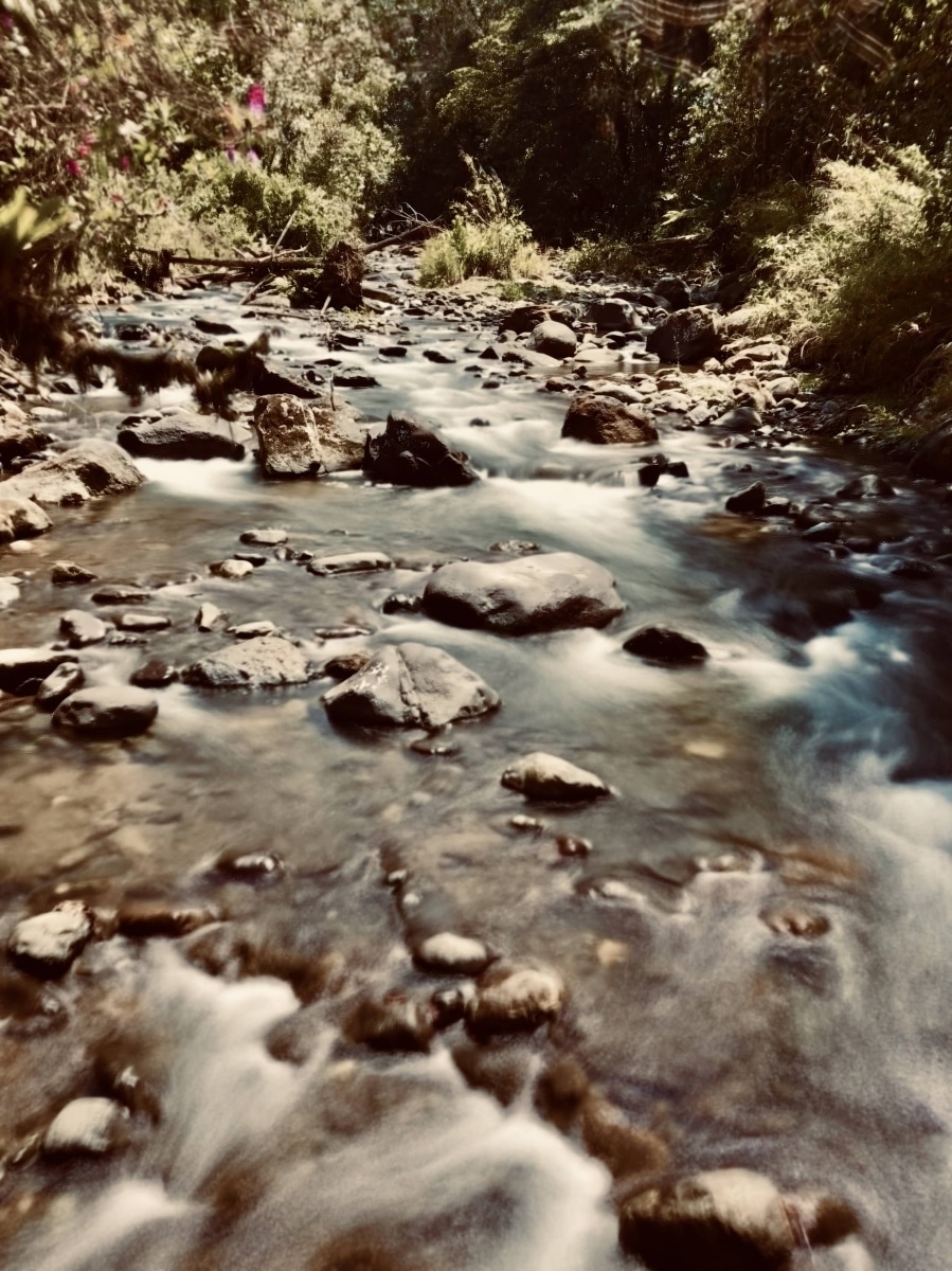 The river at Las Tangeras, a beautiful reserve near Mindo