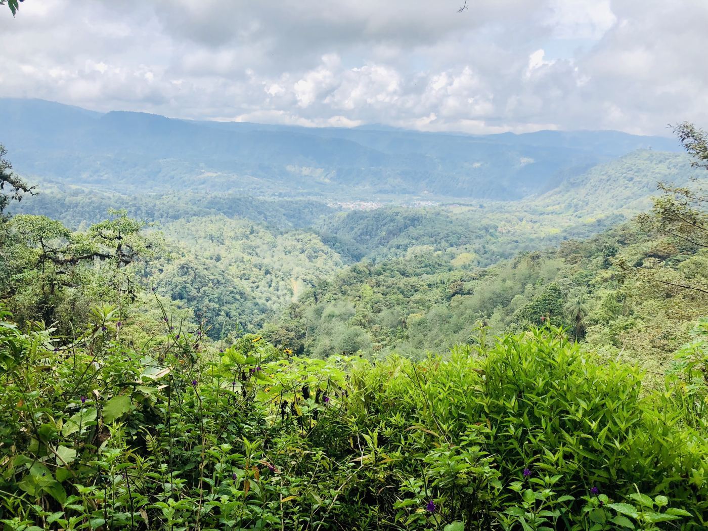 An amazing view from San Tadeo, a little backyard sanctuary for viewing hummingbirds and tanagers.  An amazing way that an Ecuadorian has found to both earn a living and preserve his land!