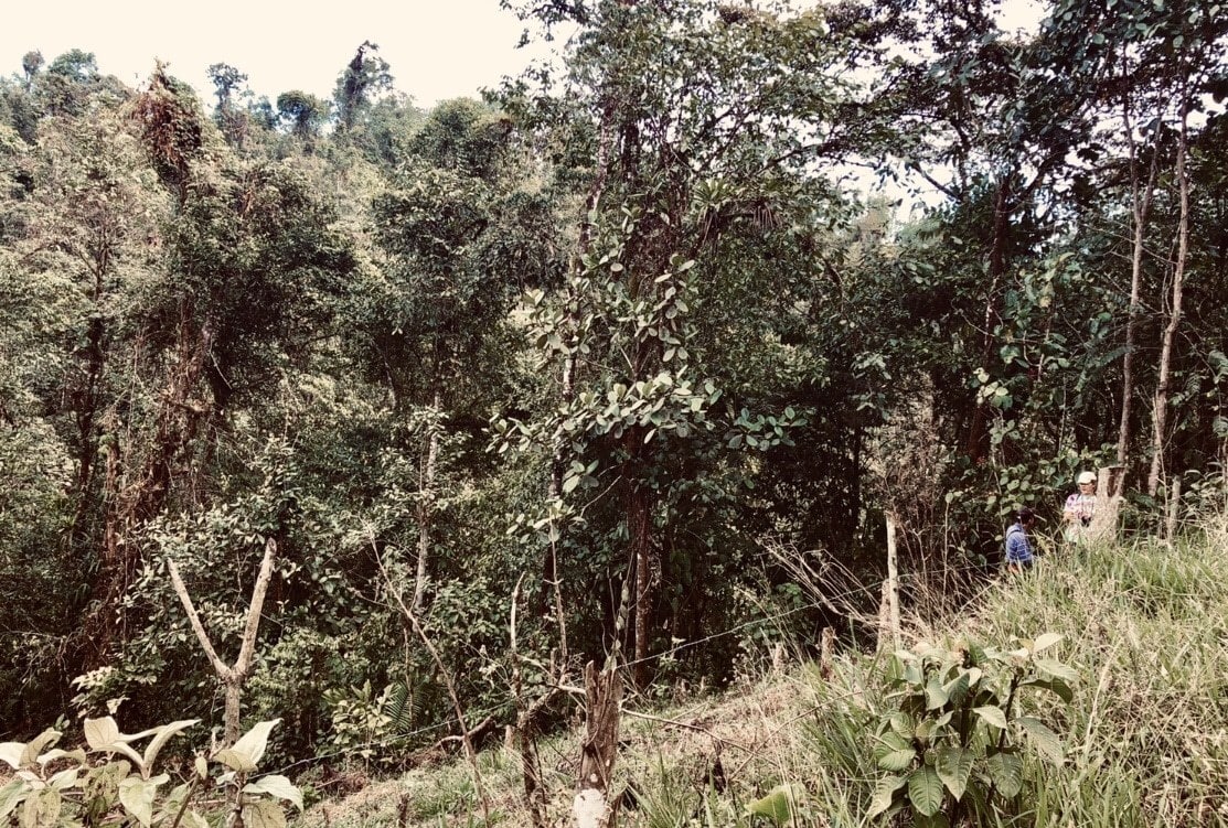 Camille and the farmer discussing ideas for his land!   They are on the far right in this photo, I am far away, holding back happy tears and trying to be discreet.