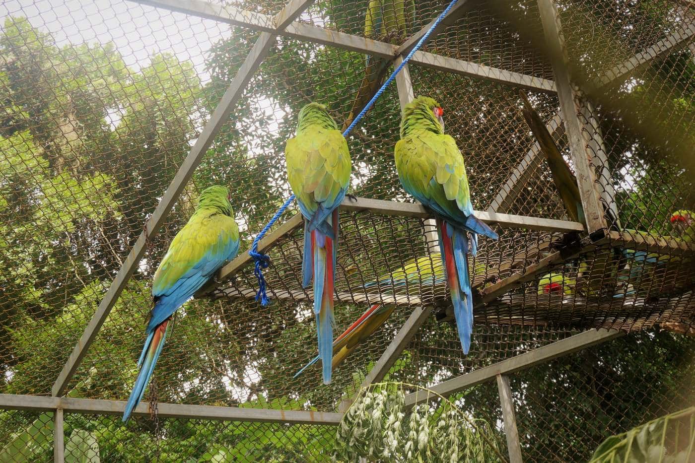 What do you mean, we go our there???  These are the three that are being released.  Took a while for them to enter the gate