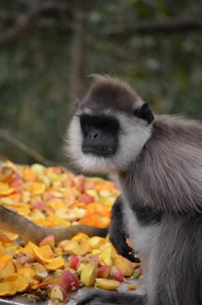 Kynsna, South Africa