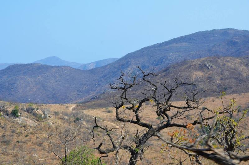 Bongani Park Lodge, South Africa