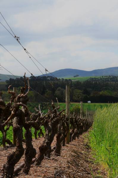 Stellenbosch, South Africa