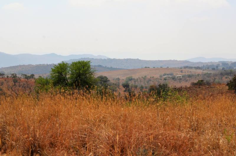 Cradle of Mankind, South Africa