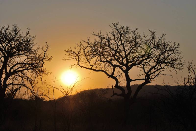 Bongani Park Lodge, South Africa