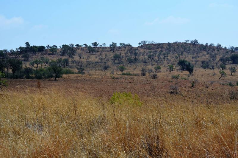 Cradle of Mankind, South Africa