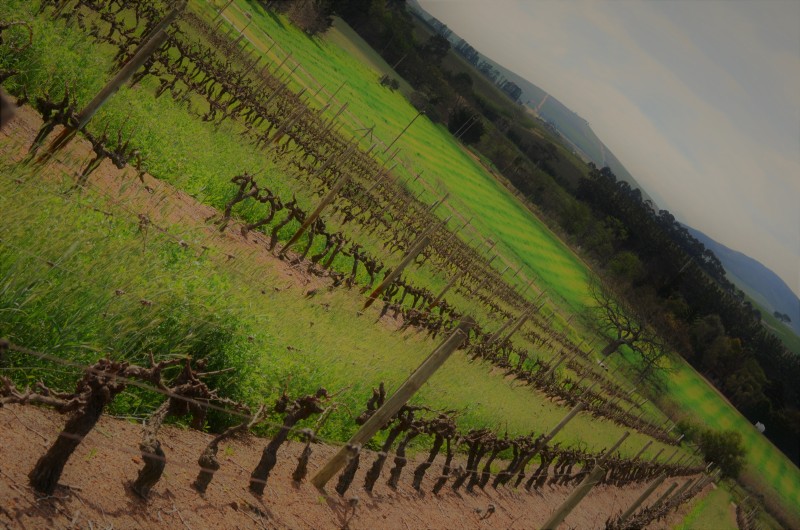 Stellenbosch, South Africa