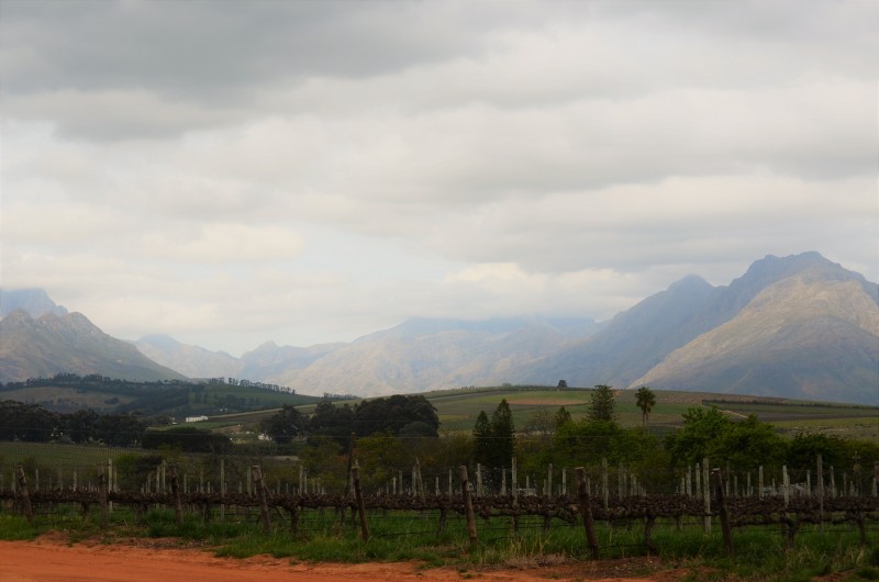 Stellenbosch, South Africa
