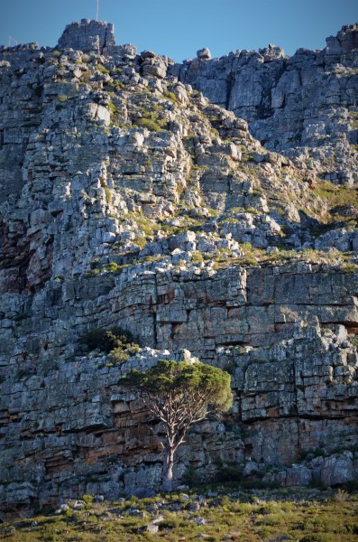Table Mountain, South Africa