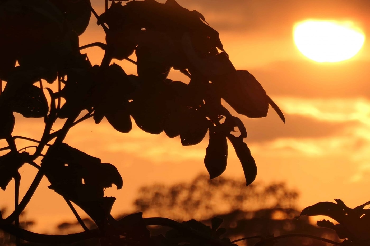 The sunsets at Valley of Dreams are incredible.  As the sun goes down you can also hear the toucans song all around you - mesmerizing!